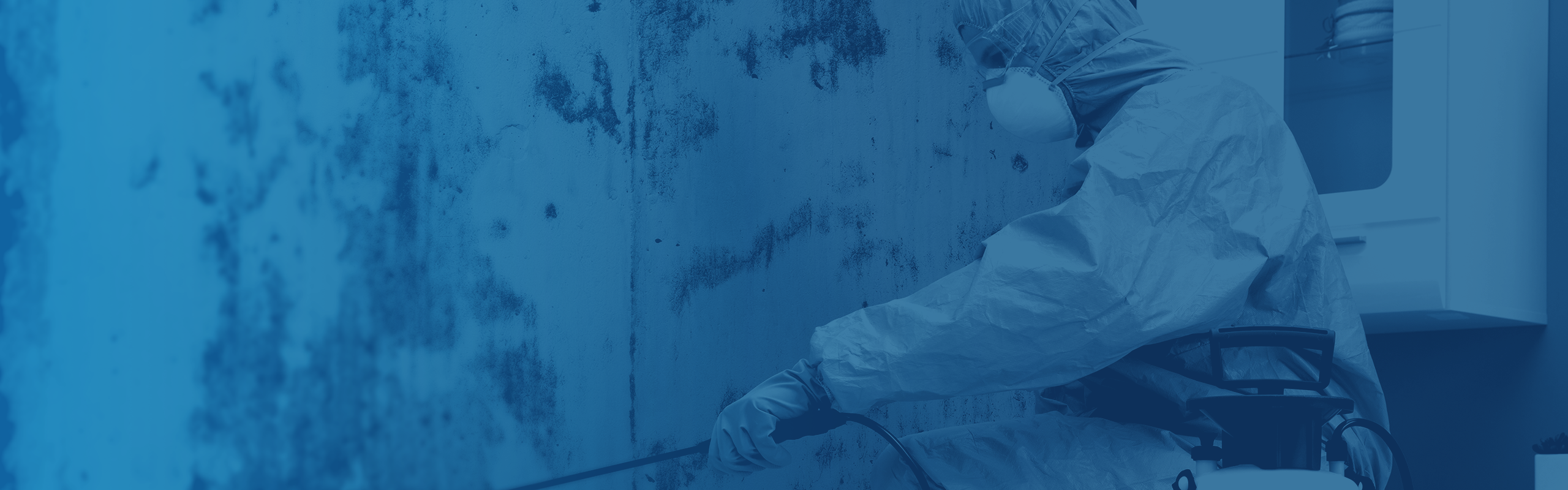 Mold cleanup restoration service